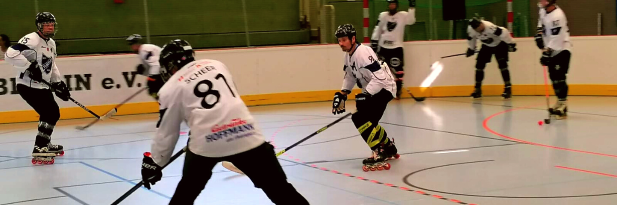 ECH Turtles Berlin – Eishockey & Inlineskaterhockey